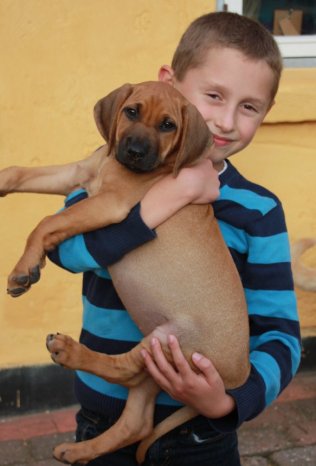 Chumani 8 uger gammel og lige kommet hjem - i favnen p vores sn Marcus